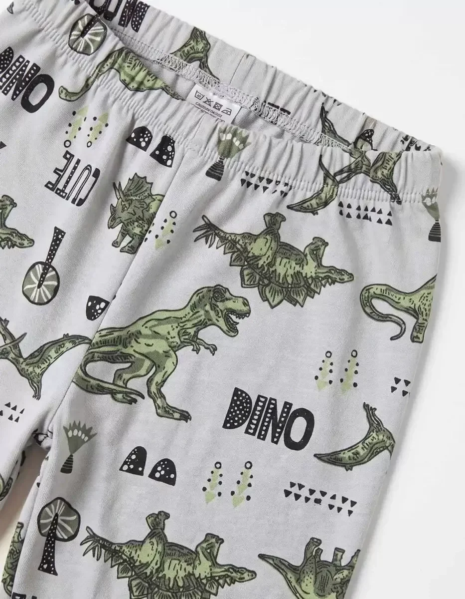 4/10 Yaş Dino Baskılı Pamuk Penye Çocuk Pijama Takımı görsel 3