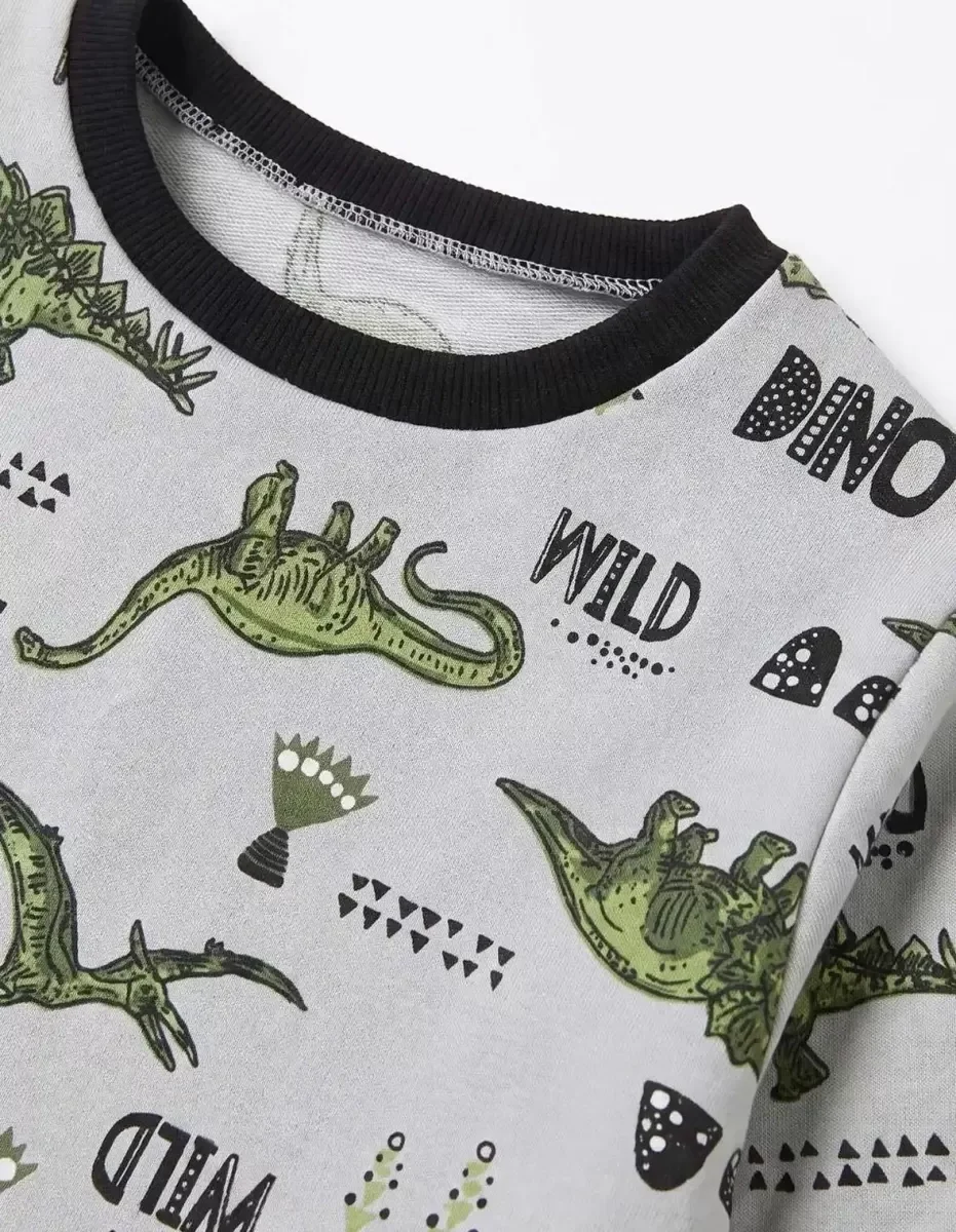 4/10 Yaş Dino Baskılı Pamuk Penye Çocuk Pijama Takımı görsel 4