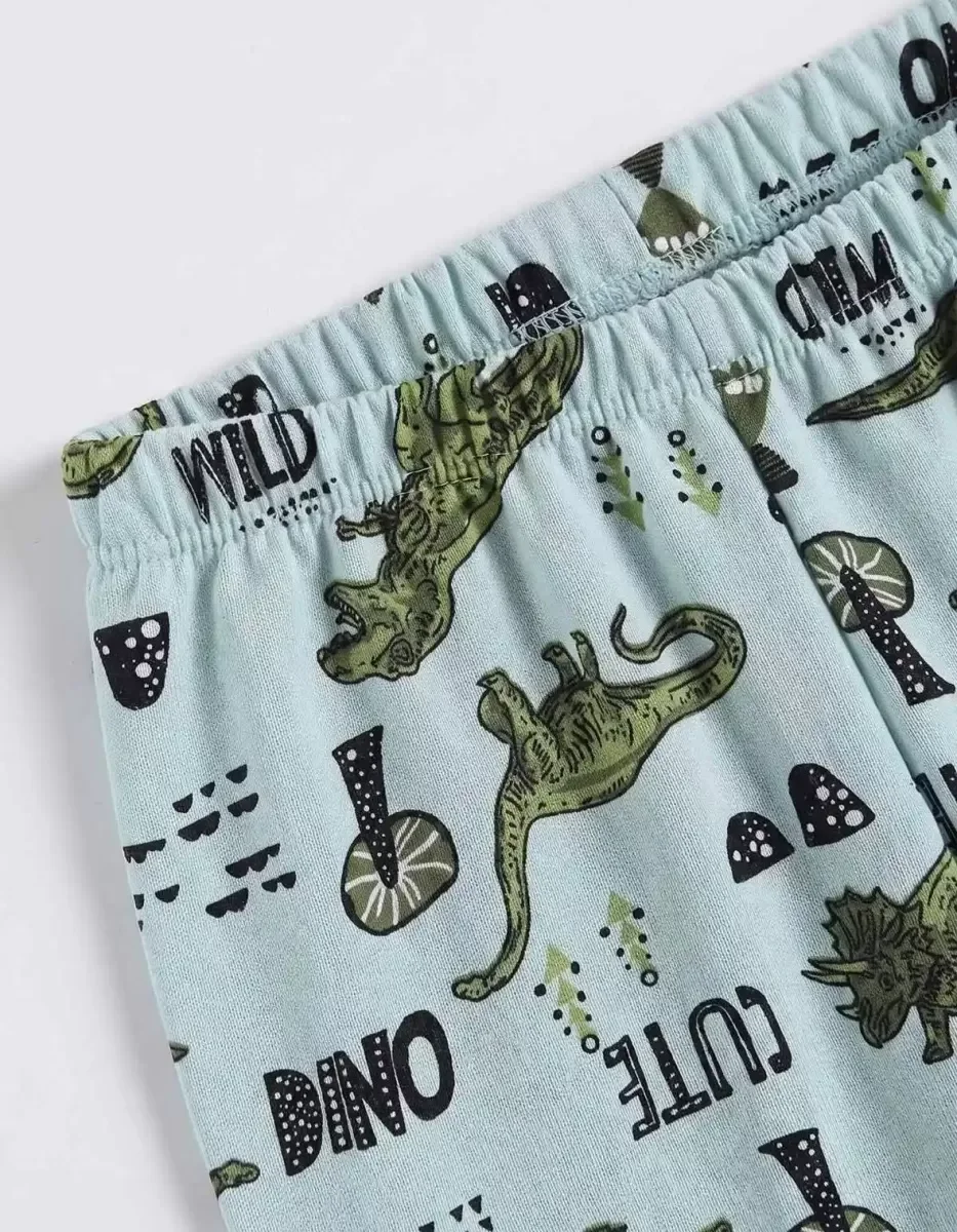 4/10 Yaş Dino Baskılı Pamuk Penye Çocuk Pijama Takımı görsel 3
